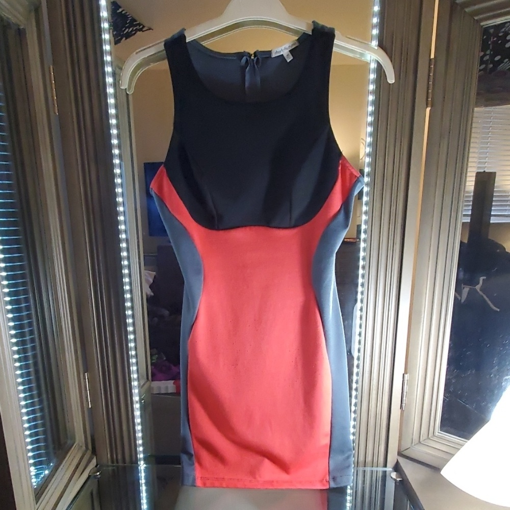 Charlotte Russe fitted dress